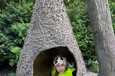 Obrázek č.100