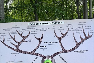 Obrázek č.89