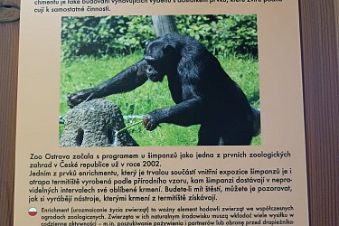Obrázek č.311