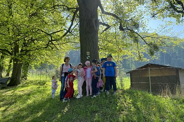 Obrázek č.8