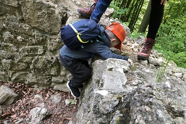 Obrázek č.28