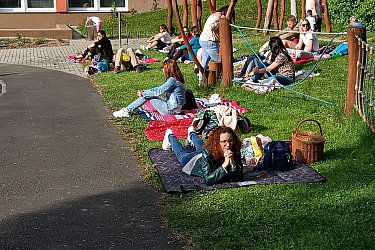 Obrázek č.80