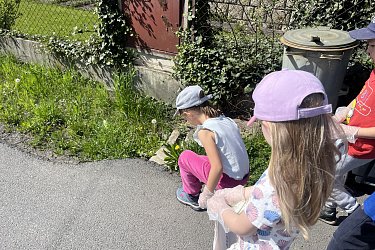 Obrázek č.24