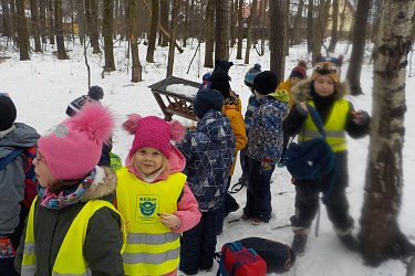 Obrázek č.25