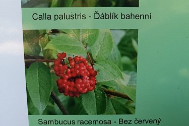 Obrázek č.35
