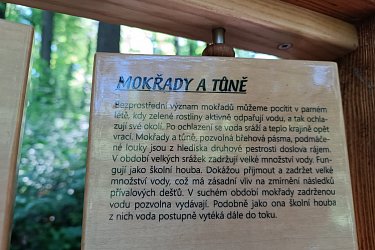 Obrázek č.45