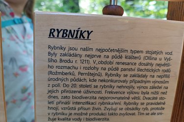 Obrázek č.42