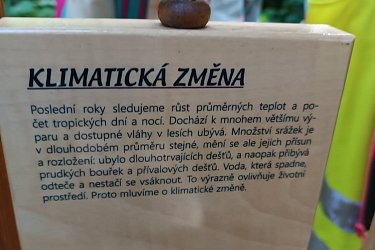 Obrázek č.50