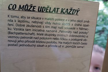 Obrázek č.59