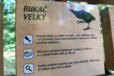 Obrázek č.73