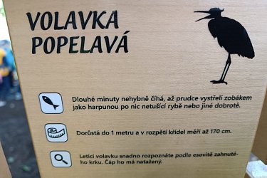 Obrázek č.54