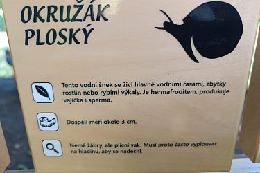 Obrázek č.58