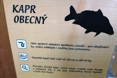 Obrázek č.57