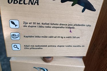 Obrázek č.61