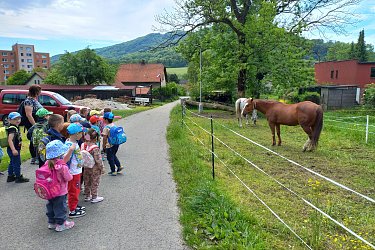 Obrázek č.10