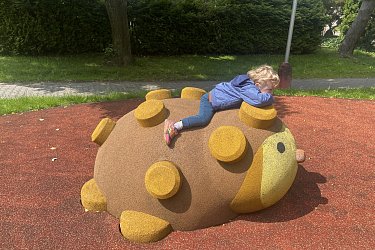 Obrázek č.110