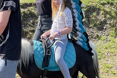 Obrázek č.20