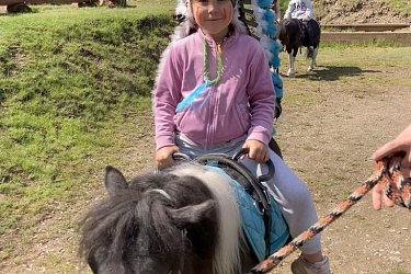 Obrázek č.108