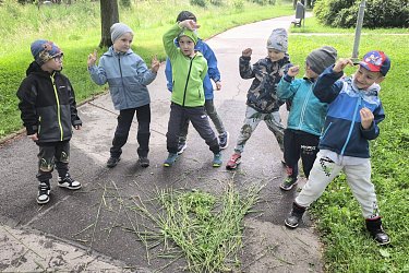 Obrázek č.30