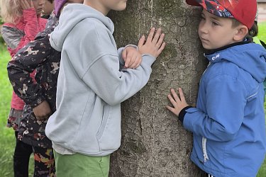 Obrázek č.75