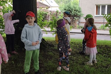 Obrázek č.65