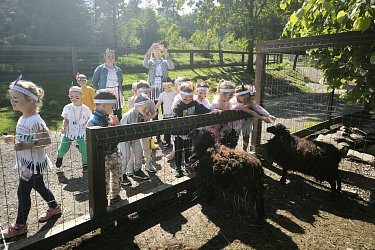 Obrázek č.125