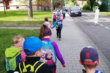 Obrázek č.207