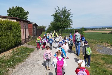 Obrázek č.219