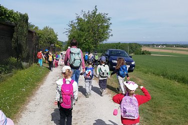 Obrázek č.220