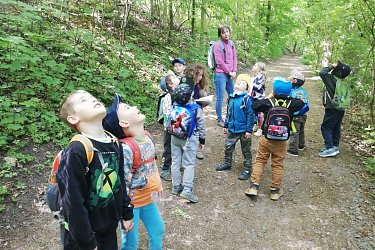 Obrázek č.250
