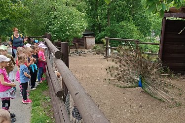 Obrázek č.65