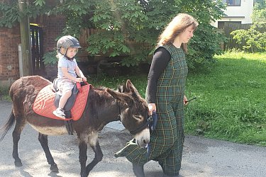 Obrázek č.49