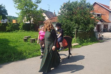Obrázek č.50