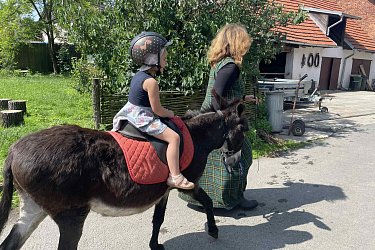 Obrázek č.20