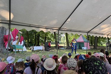 Obrázek č.15