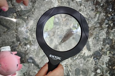 Obrázek č.49
