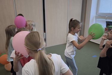 Obrázek č.48