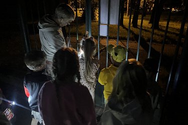 Obrázek č.21