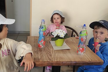 Obrázek č.16