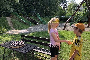 Obrázek č.37