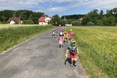 Obrázek č.49