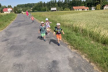 Obrázek č.59