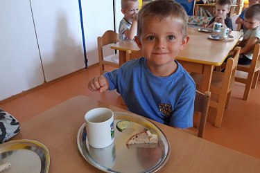 Obrázek č.43