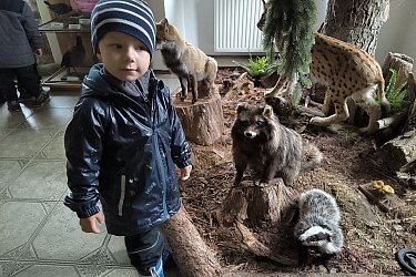 Obrázek č.12
