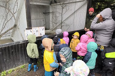 Obrázek č.13
