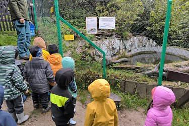 Obrázek č.19