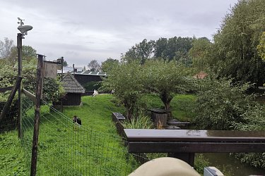Obrázek č.36