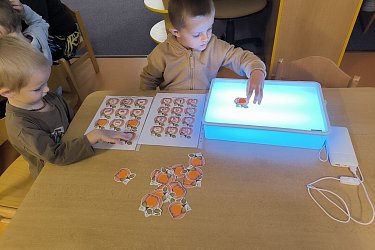 Co nám vyrostlo na políčku - Rybičky