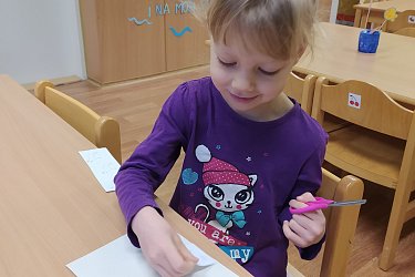 Obrázek č.17