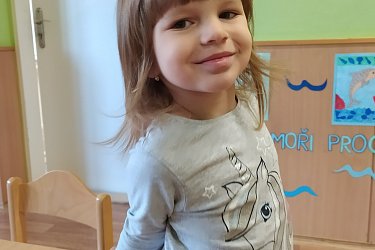 Obrázek č.13